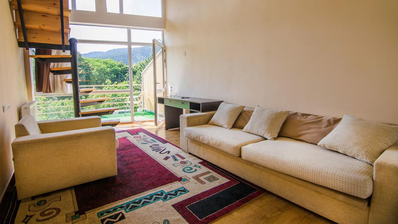 Guest House Borjomi Εξωτερικό φωτογραφία